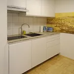 Convenient And Functional In The Center Apartamento Gmunden